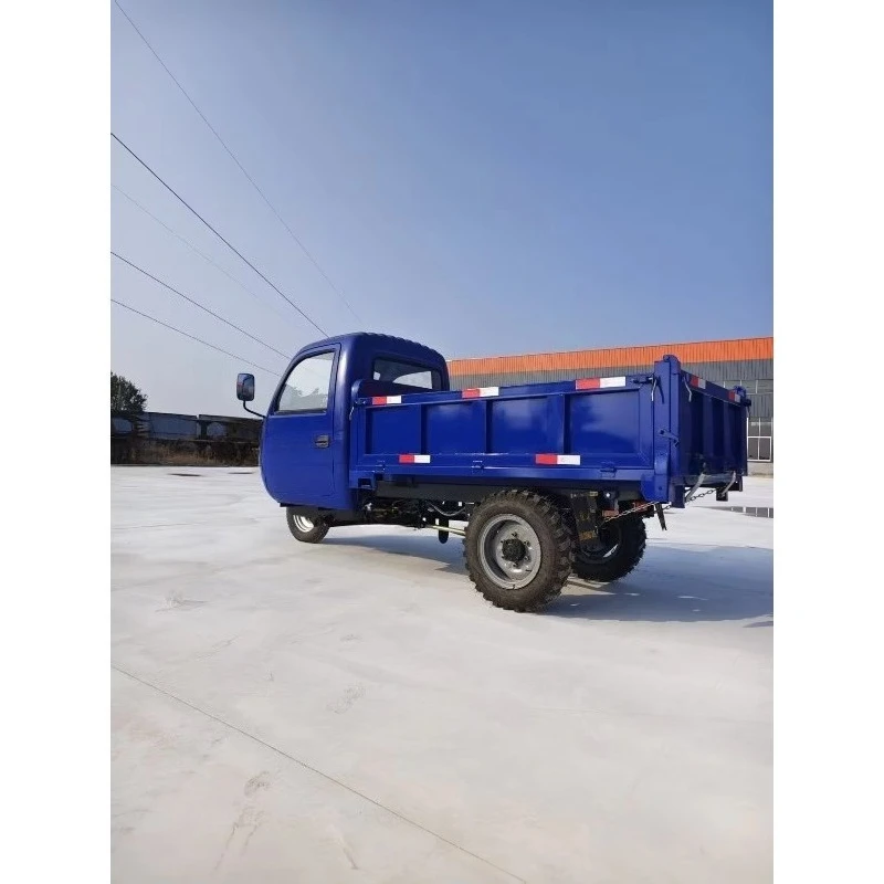 Made  Superior Quality Two Seats Adult Tricycle Electric Car Tricycle Electric Tricycles for Sale