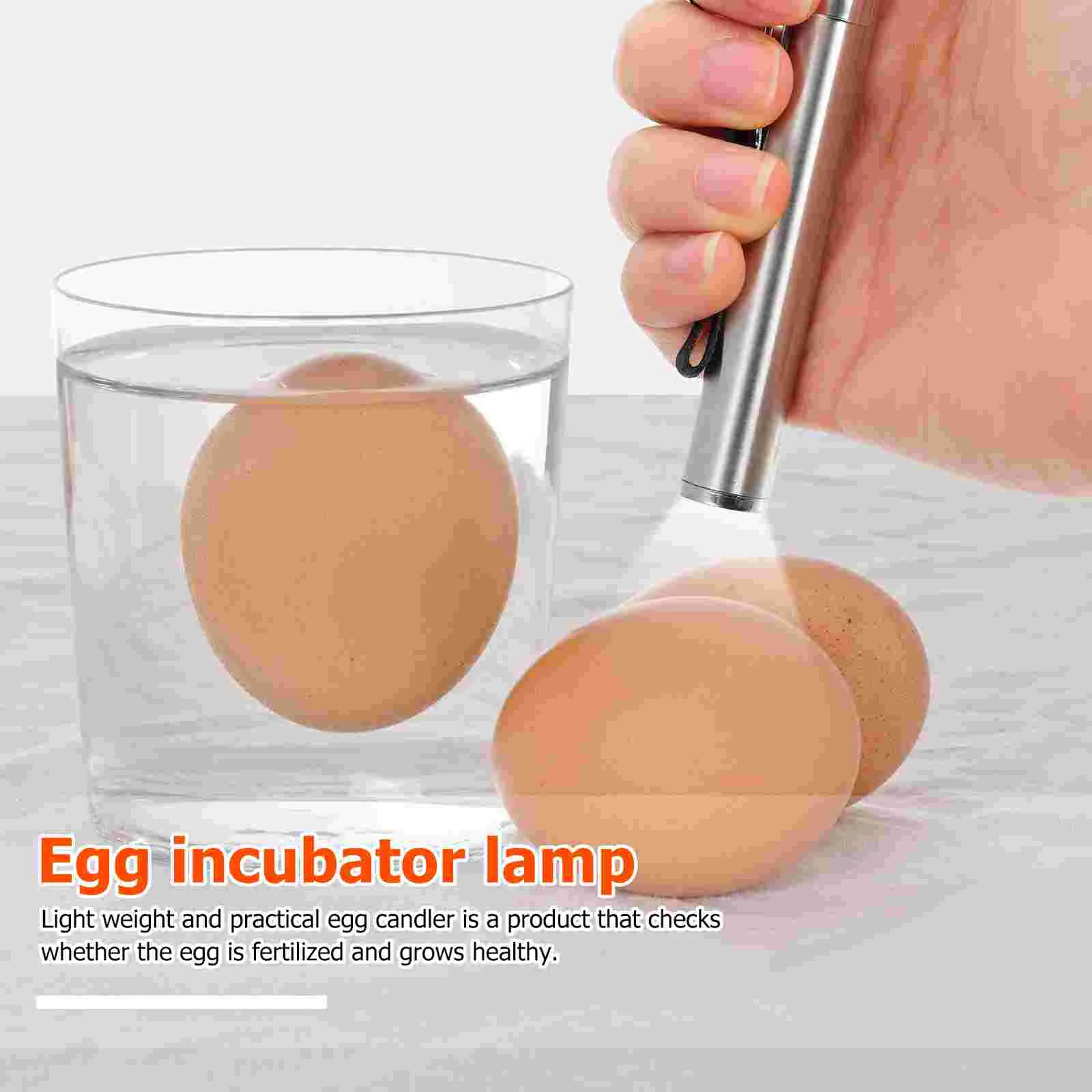 Egg Canister LED Incubator Incubation Candling Lamp Candlesticks Light Mini Flashlights Candler Checker