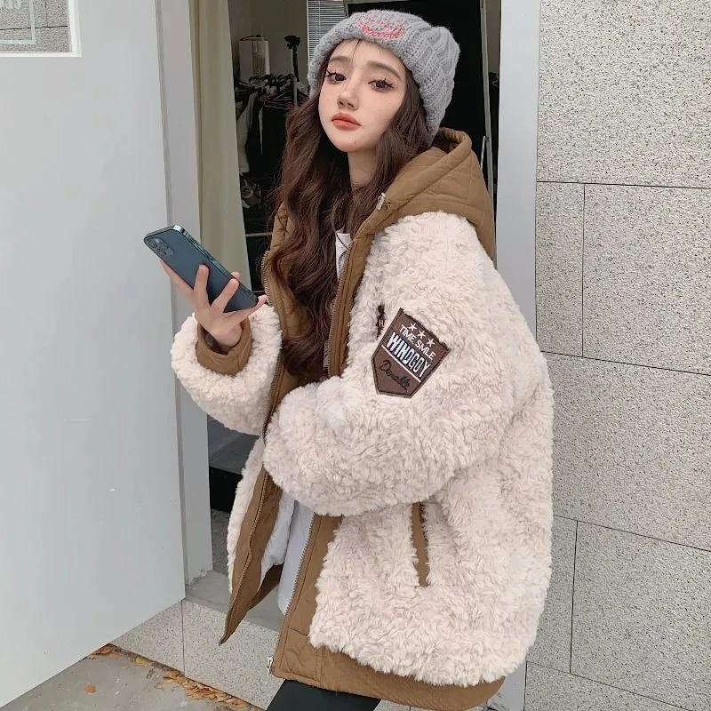 Imitation Lamb Wool Zipper Coat Woman Hoodies Clothes Sweatshirt Streetwear Korean Fashion Autumn Winter Jacket New Loose Coat