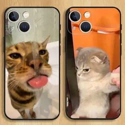 Funny Cat Memes Phone Case For iPhone15,14,13,12,11,Pro,Max,Plus,Mini,X,XS,XR,8,7,6,S,Plus,SE Soft Black Case