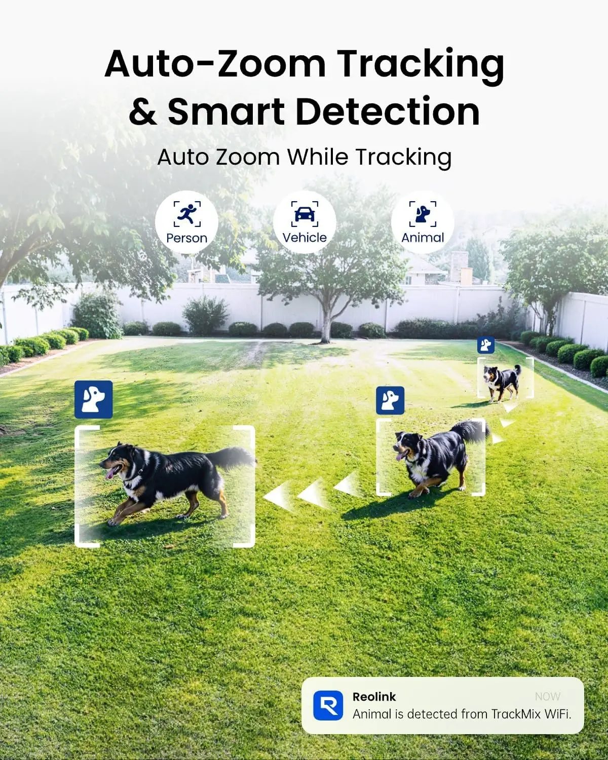 4K 8MP Outdoor Wired WiFi Security Camera with Dual-Lens PTZ, 360° Auto Tracking, 6x Hybrid Zoom, Smart Detection of People, Vehicles, and Animals, Dual-Band Wi-Fi, Color Night Vision view 4