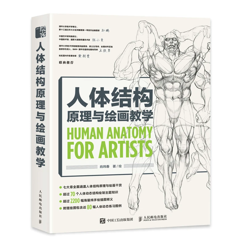 Anatomical Principles and Drawing Tutorials: Comprehensive Guide to Human Body Structure