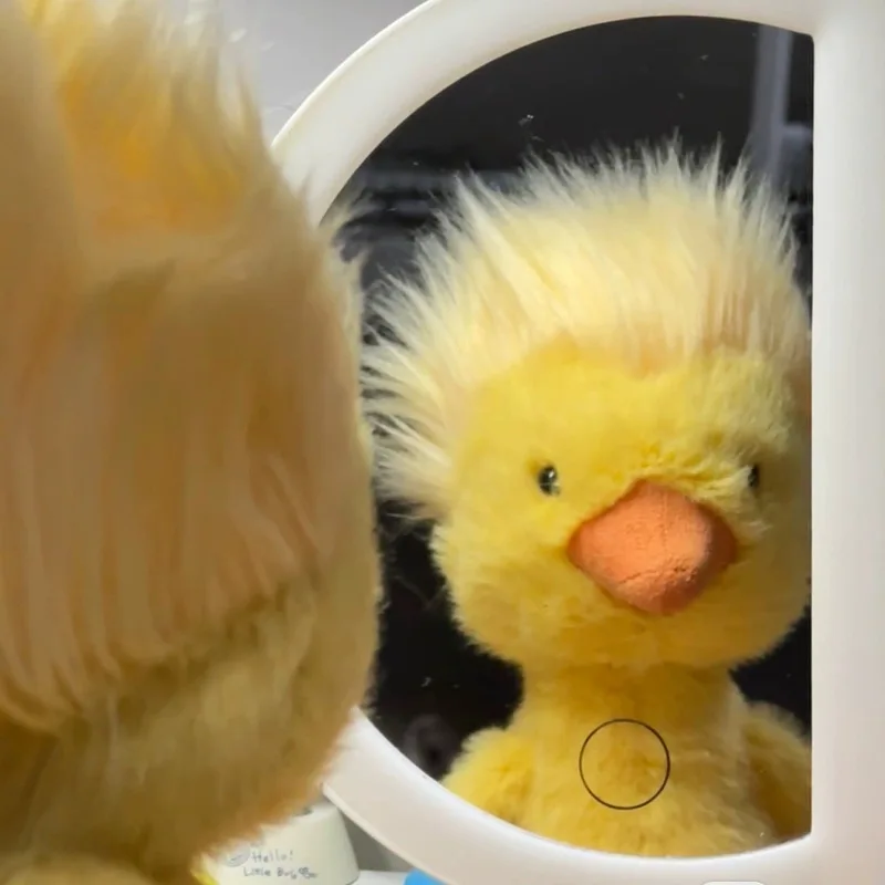 25cm Deep-Fried Duck Plush Toy Ugly And Cute Cartoon Stuffed Animal Pillow Doll for Room Decor And Children's Birthday Gift