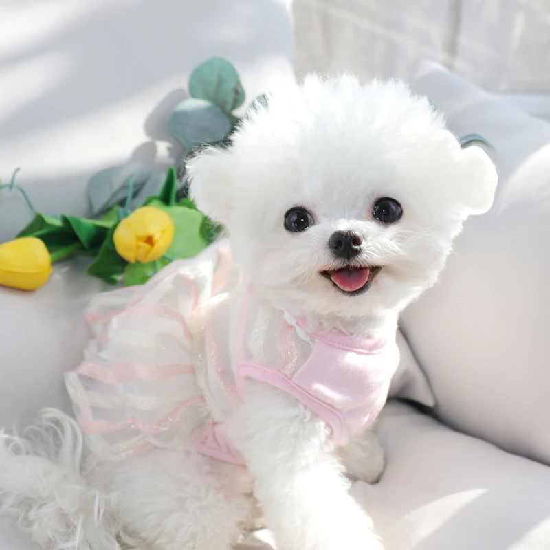 

Pink Pet Skirt Teddy Mesh Dress Small Dog Autumn Clothes Teddy Pullover Striped Dog Clothes XS-XL