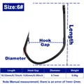 Size 6