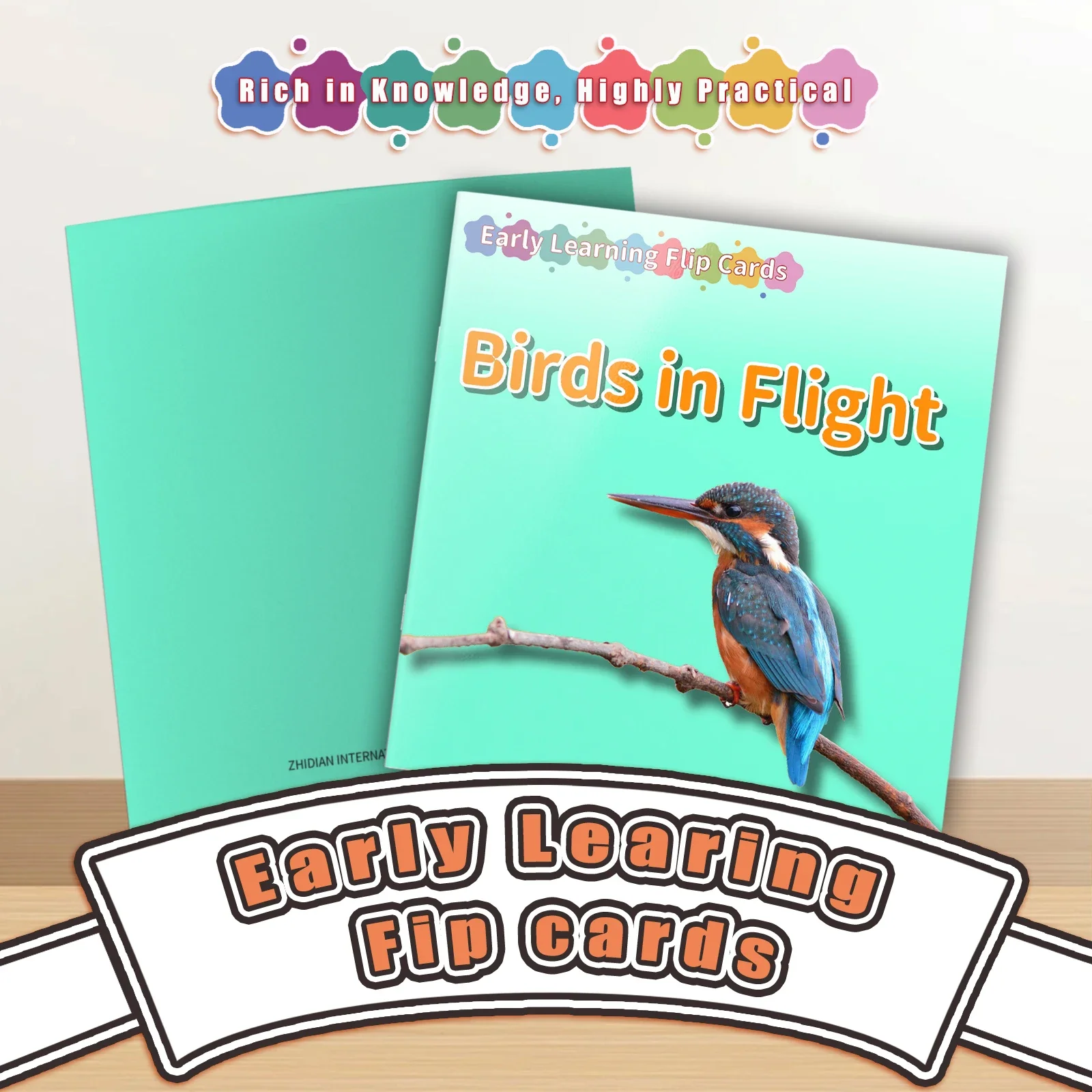 

Card Books - Lively Knowledge Card Books for Early Learning, Visually Stimulating Educational Cards