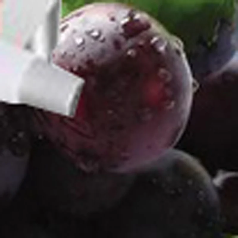 

Промышленная автоматическая многофункциональная машина для мойки и очистки из нержавеющей стали для листовых овощей и фруктов