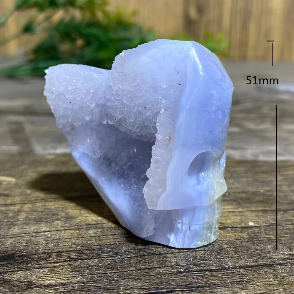 Blue Lace Agate Geode Skull Natural Specimen Raw Quartz Crystal Healing Stones Home Decoration Crafts Section Cluster Gemstoness