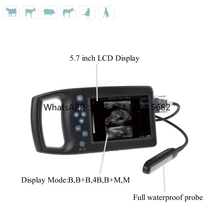 Veterinary Portable Ultrasound Machine Livestock Vet Handheld Scanner for  B-Ultra Sound with Probe for Pig,Goat,Horse