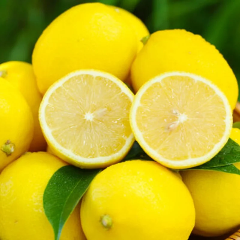 Base de haste de tração de metal, assento e eixo para cima, suporte servo, peças sobressalentes de atualização para carro MN D90 FJ45 WPL C14 C24 RC