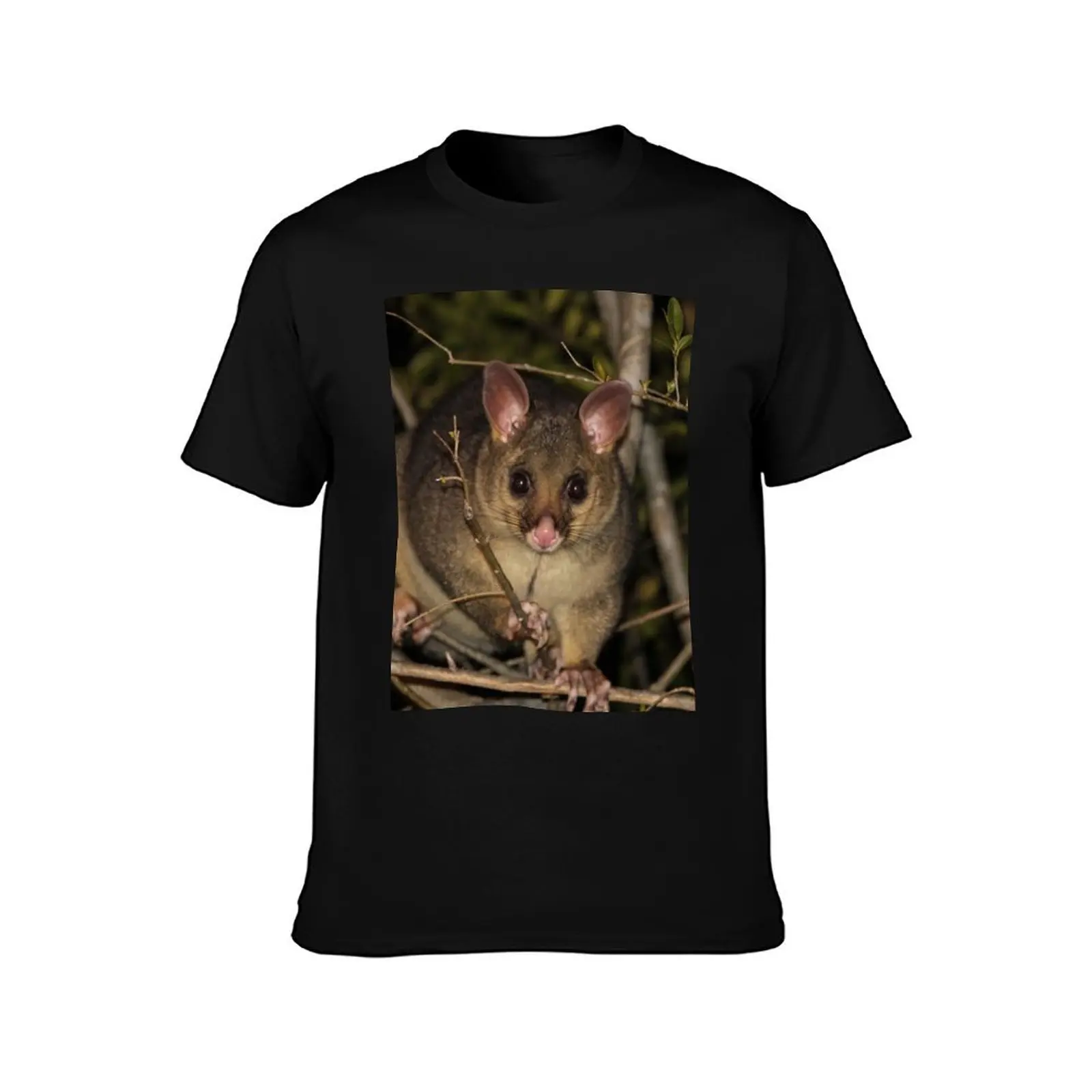 Brushtail possum T-Shirt Urban Style Casual Short Sleeve Top