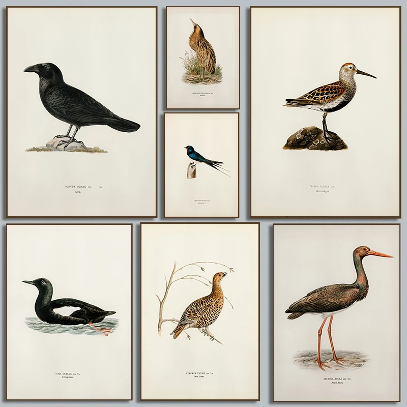 classic abstract bird type view Wildlife Canvas Posters Forest Wall Art Pictures for Living Room Bedroom Club Modern Home Dec