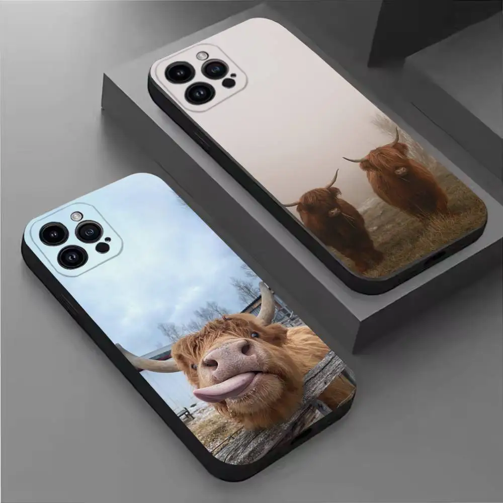 

Anime Berserk Cool Phone Case For iPhone 16,15,14,13,12,11 Plus,Pro Max,XS,X,XR,SE,Mini,8,7,Soft Silicone Black Cover