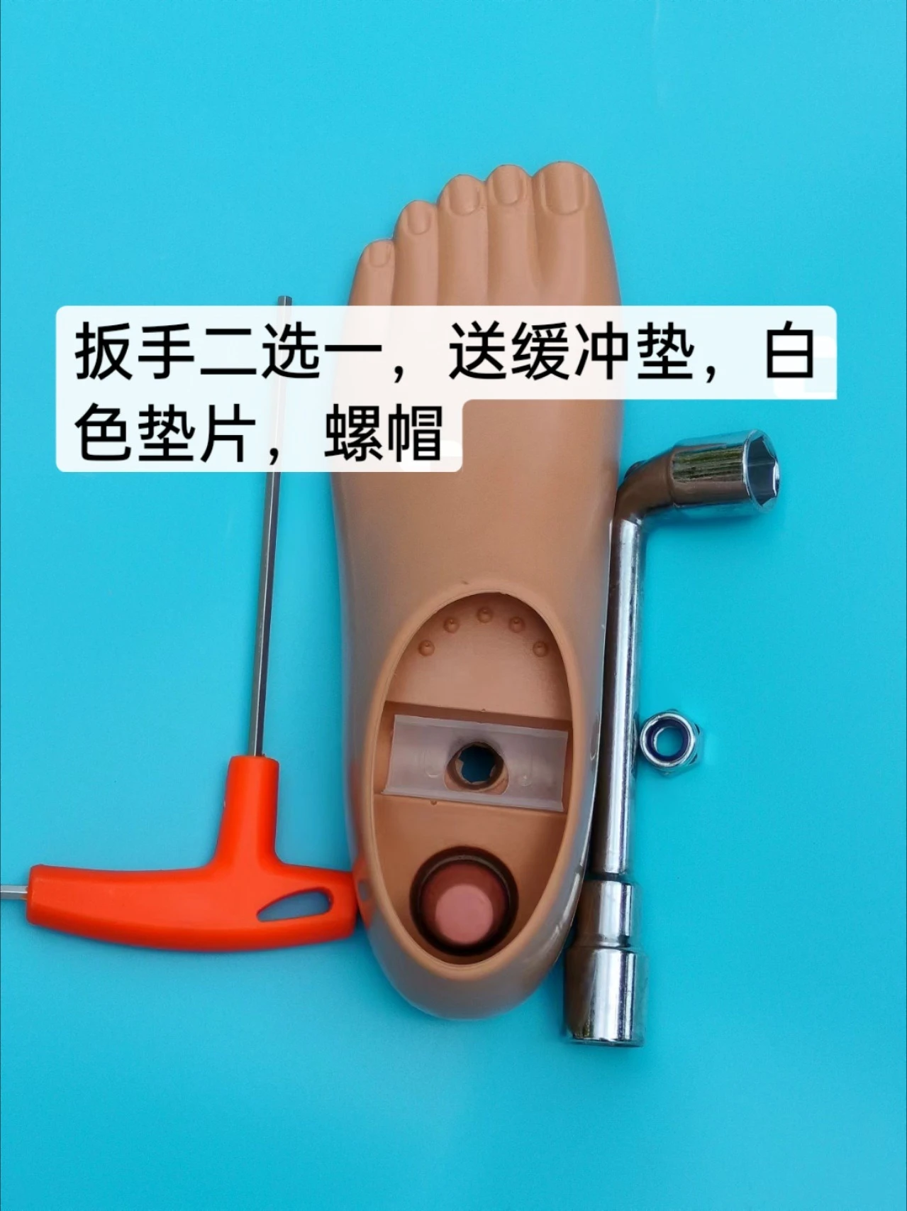 

Prosthetic Foot with Monolithic Ankle, Polyurethane Foot Shell & Liners for Below/Above Knee