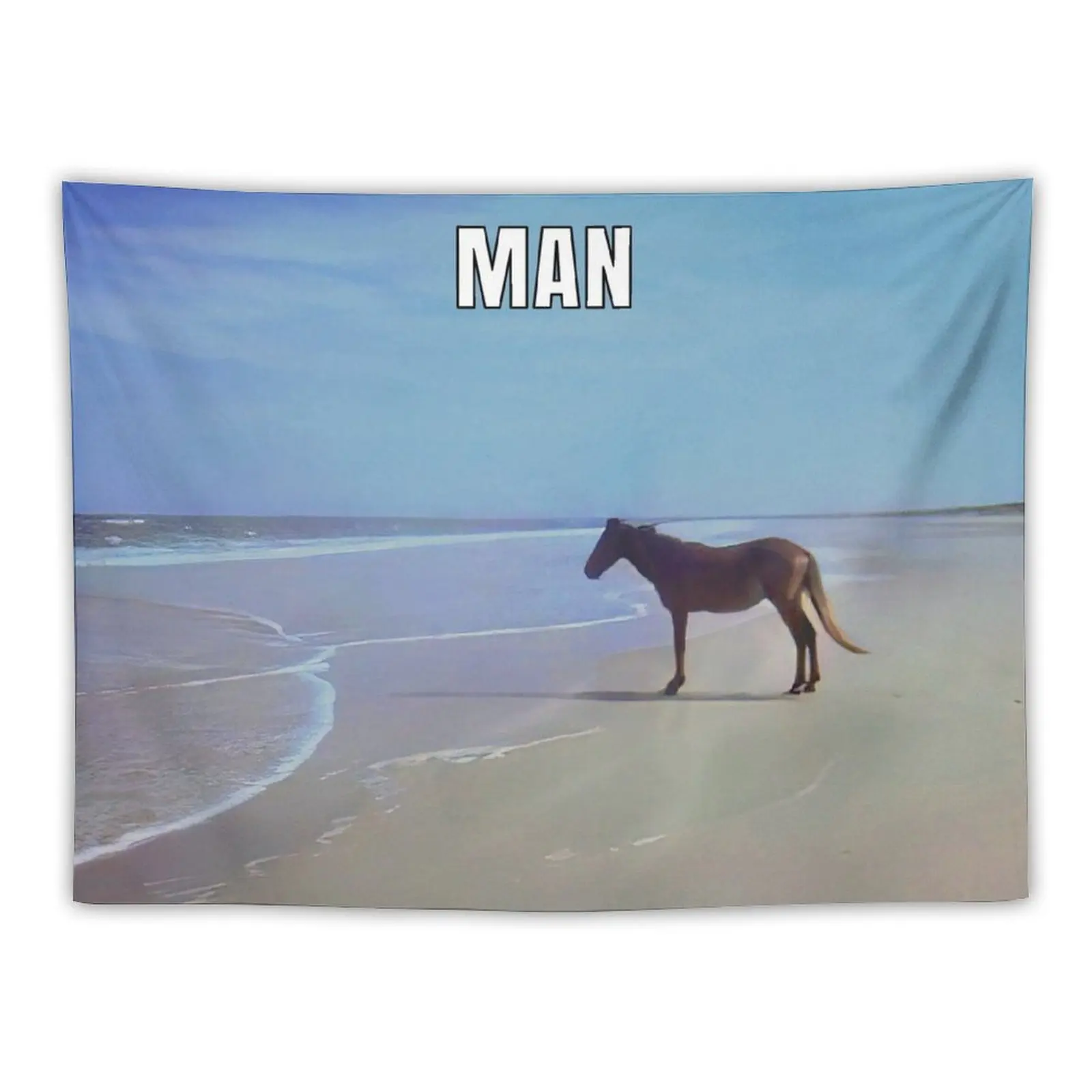 Man ? HD / Horse on Beach Meme Tapestry House Decorations Wall Hangings Decoration Funny Tapestry