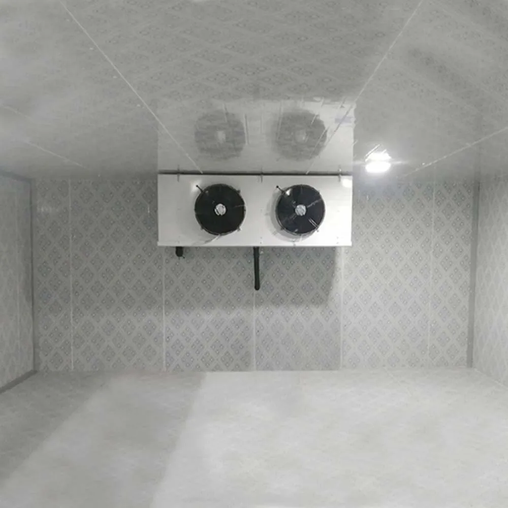 Frutta Verdura Carne Pesce Congelatore Camera Fredda