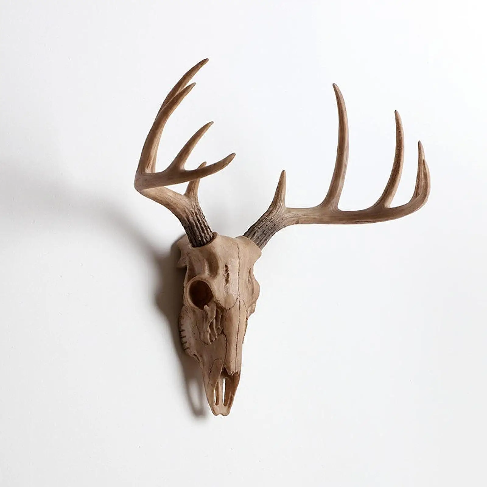 Tierköpfe, Wanddekoration, Tierfigur, realistischer Kopf, Schaf, Totenkopf, Wanddekoration für Flur, Büro, Veranda, Sammler, Garten