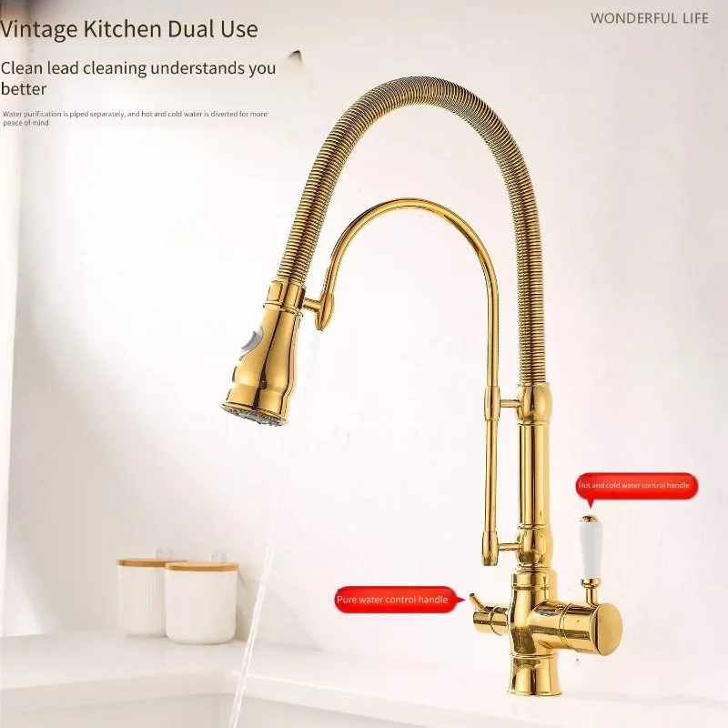 All-copper European Kitchen Faucet Gold Black Multi-functional Spring Sink Vegetable Basin Hot and Cold Faucet Shower