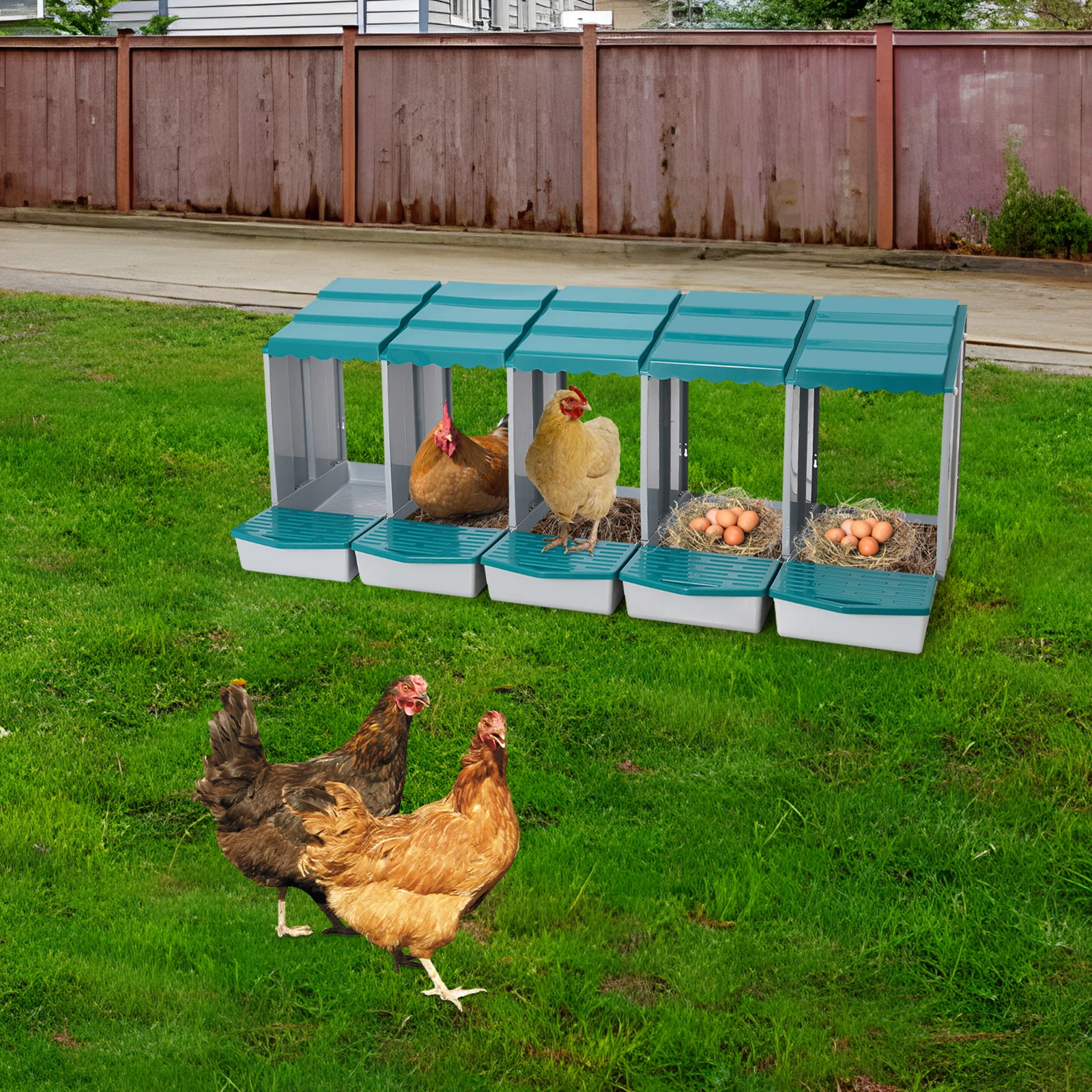 

Просторный гнездовой ящик для птицы с нескользящей текстурой и закругленными краями, легко собирается и легко чистится, для использования на заднем дворе.