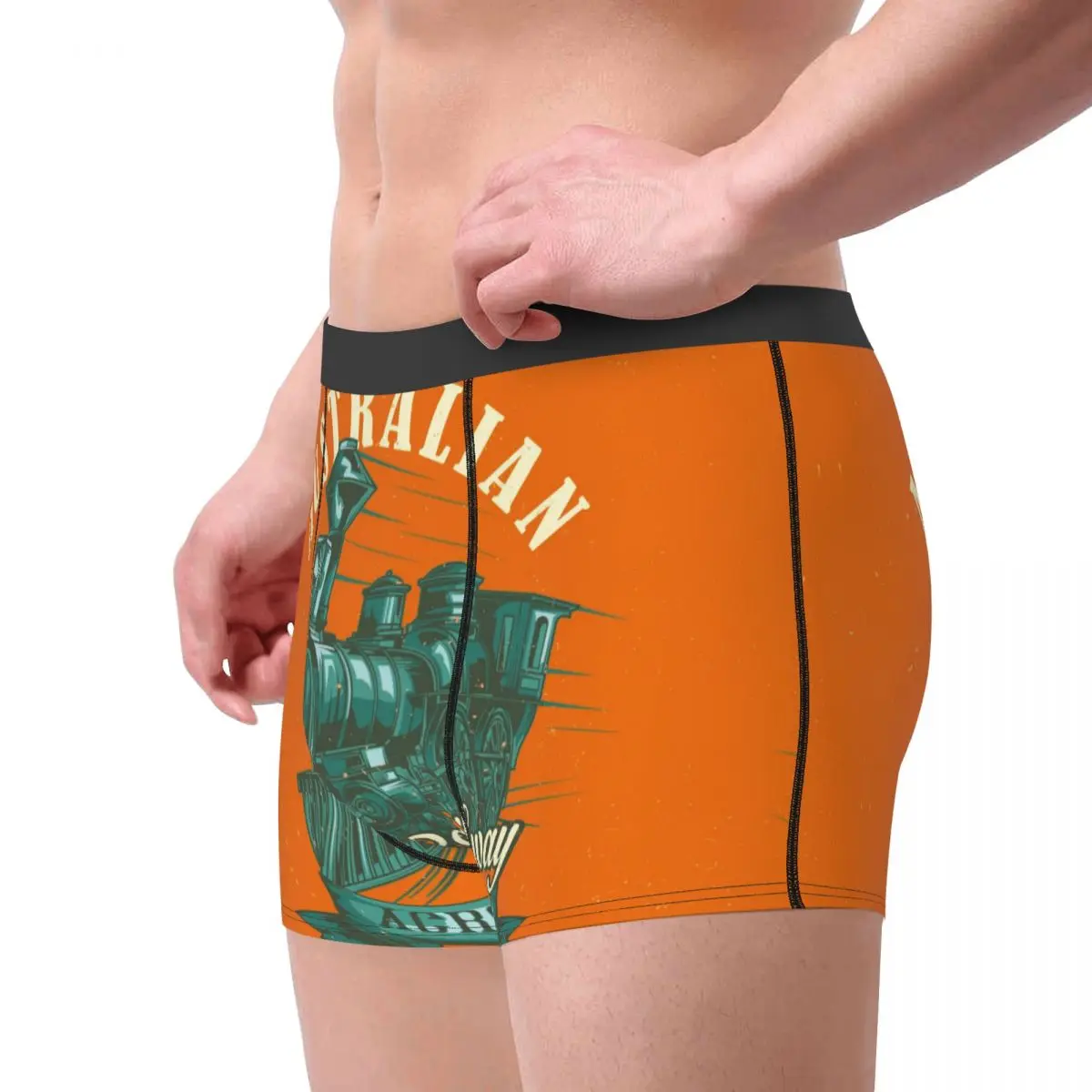 Men's Panties Classic Train Male Underpants Man Short Boxer Underwear