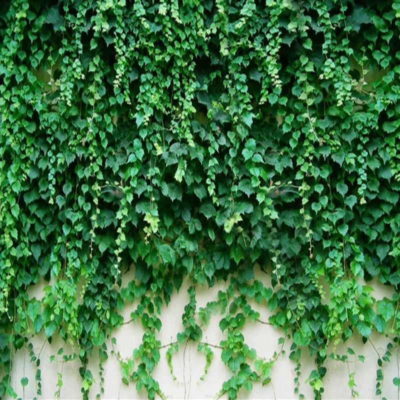 Foto personalizzata Carta da parati 3D Pianta verde Foglia Murale Hotel Soggiorno TV Divano Sfondo Muro Decorazioni per la casa Sfondo Papel De Parede