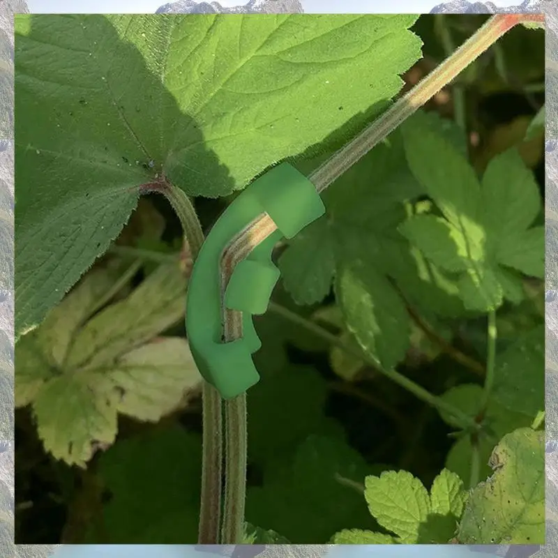 

2025 Trend 288 Pcs 90 Degree Plant Trainer For Low Stress Training Bending Clips LST Clips For Plant Trellis Growth Kits