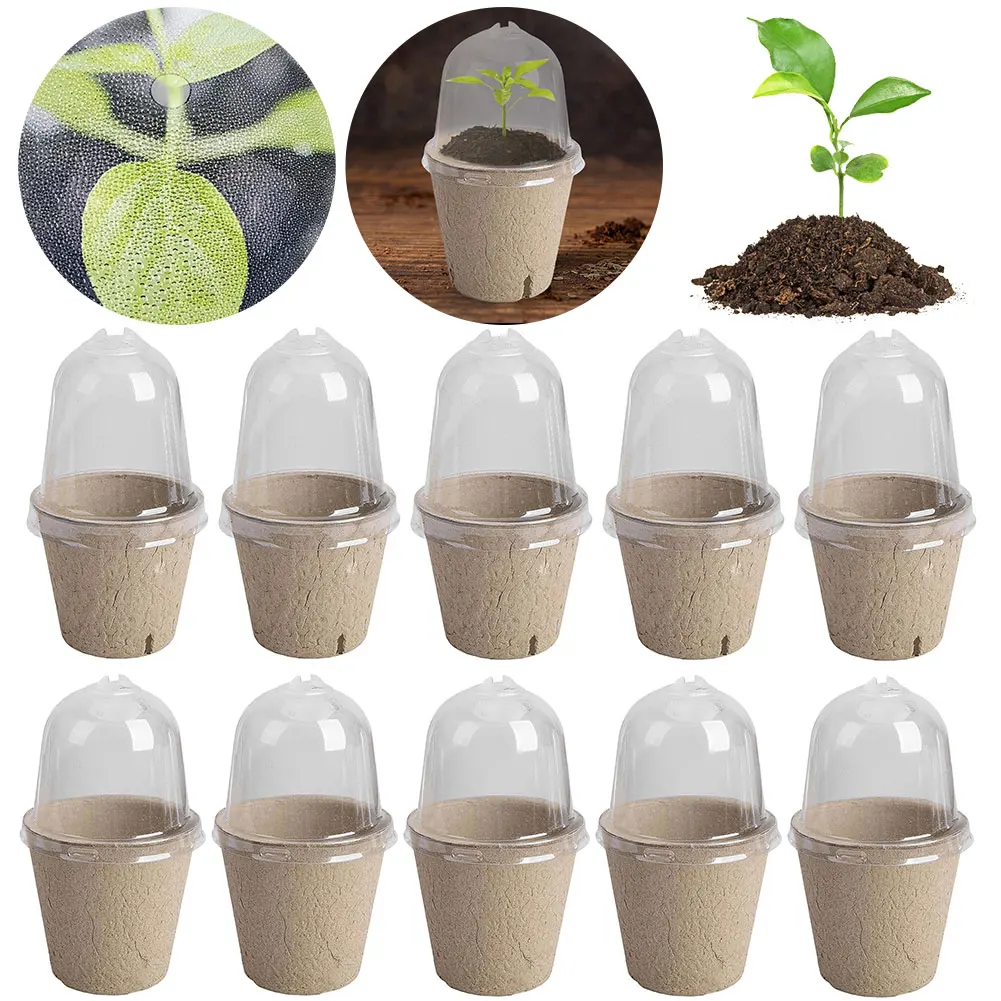 10Pcs Seedling Cup Cultivation Pot Transparent Lid Germination Planter Biodegradable Greenhouse Breeding Box Gardening Supplies