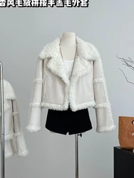Winter Women Old Money Lambs Wool Coat Korean Fashion Design Teddy Jacket Shaggy Outwear Turn-down Collar Thick Warm Stylish New