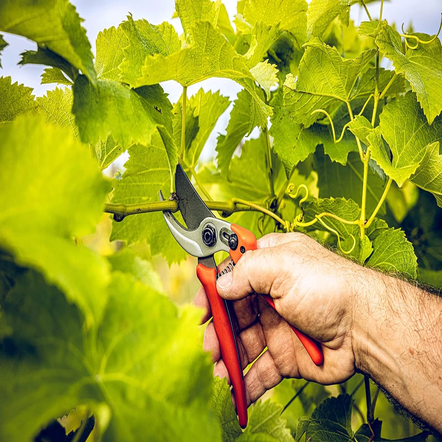 أدوات حديقة متعددة الاستخدامات - مراجعة Gardening Tools You Must Have وسعره