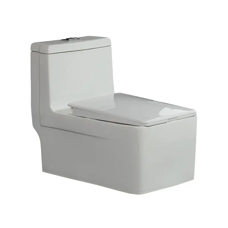 

squatting toilet