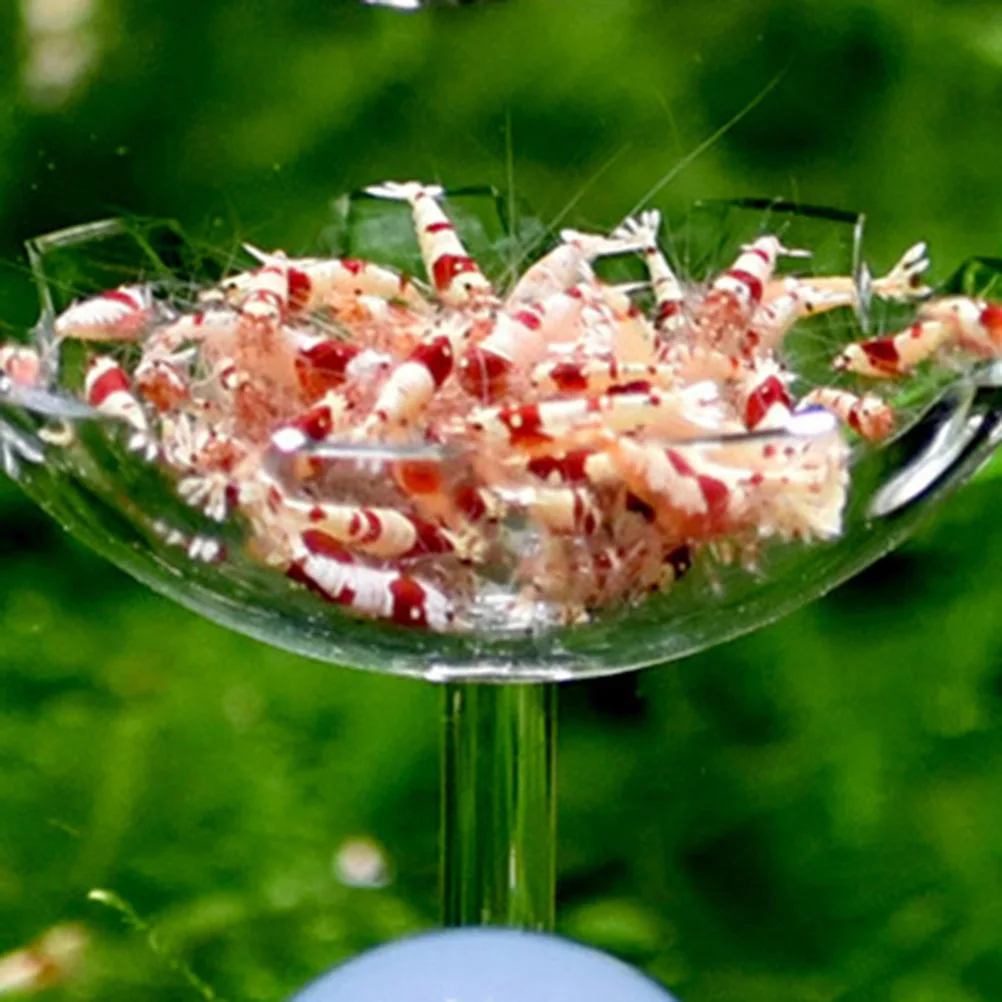

Transparent Acrylic Shrimp Feed Dish Floating Feeder Bowl for Shrimp Fish Reptiles Crysting Food Basin Feeder Bowl
