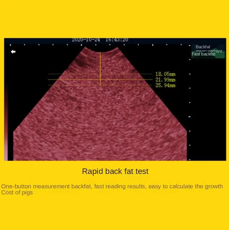 5.6 Inch LCD Screen Portable Veterinary Ultrasound Scanner For Cattle Cow Pig Horse Ultrasound pregnancy testing Machine Color