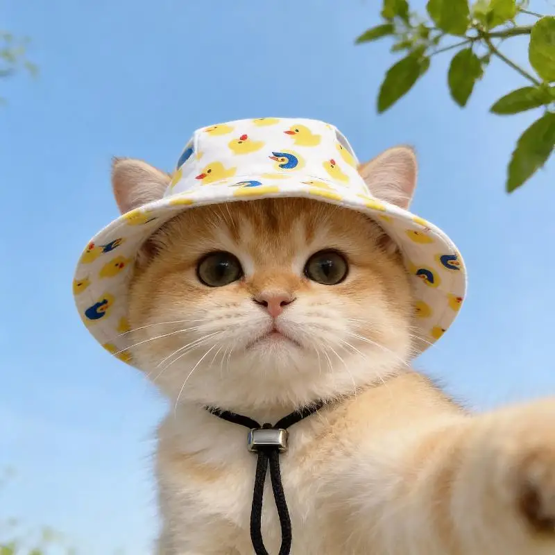 Small Dog Cat Hats Cat Cowboy Hat With Ear Holes Tiny Pet Birthday Party Costume Cat Headwear Puppy Dog Kitten Hat Chihuahua Cap - view 2