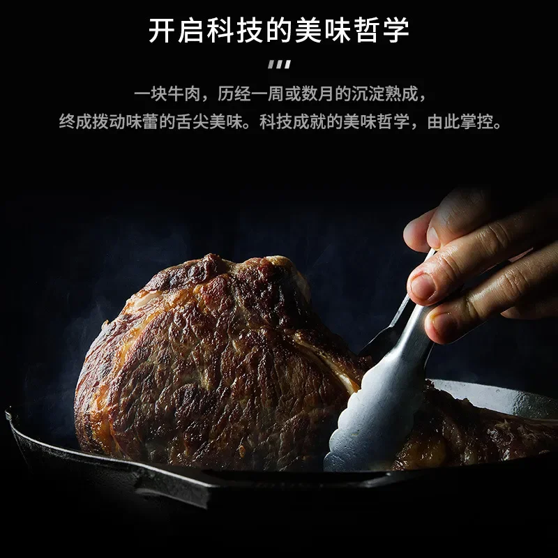 CL48W2 Intelligent Dry Aging Steak Cabinet Stainless Steel Refrigerator Household Fresh Keeping Display Fridge