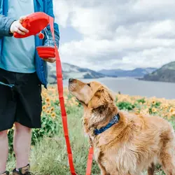 Detachable Retractable Dog Leash Builtin Water Bottle with Water Bowl Dog Traction Rope Plastic Waste Bag Container