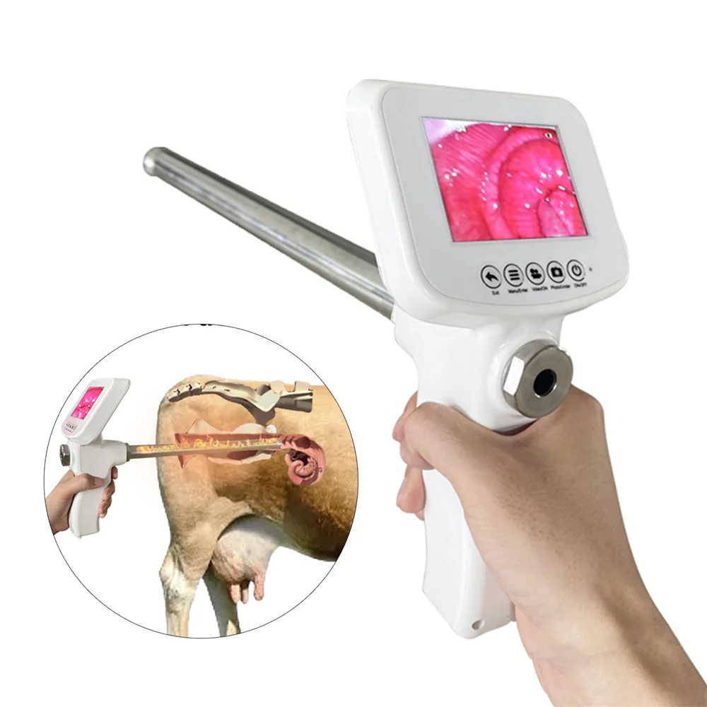 

Cattle Horses Cow Visual Artificial Insemination Gun Veterinary Breeding Tools Livestock Farm Endoscope Sperm Ai Insemination