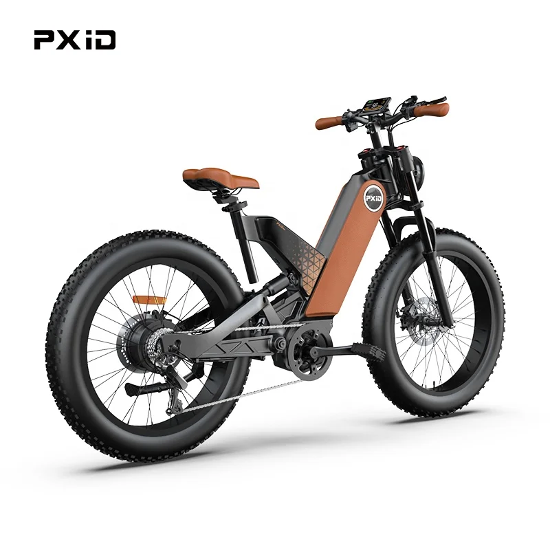 Retail Price New Design MTB E Bicycle Model P5 24 Inch Fat Tire Snow Bike Off Road EU US Popular Electric Bike