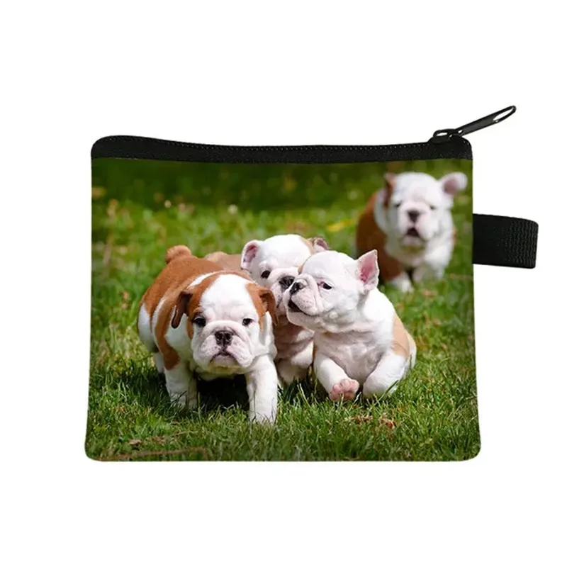 ดอกไม้น่ารัก Bulldog พิมพ์เหรียญกระเป๋าสตางค์ผู้หญิงกระเป๋าถือผู้ชายกระเป๋าสตางค์ Bull Dog Puppy เหรียญกระเป๋าคลัทช์ขนาดเล็กเด็กเงินกระเป๋า