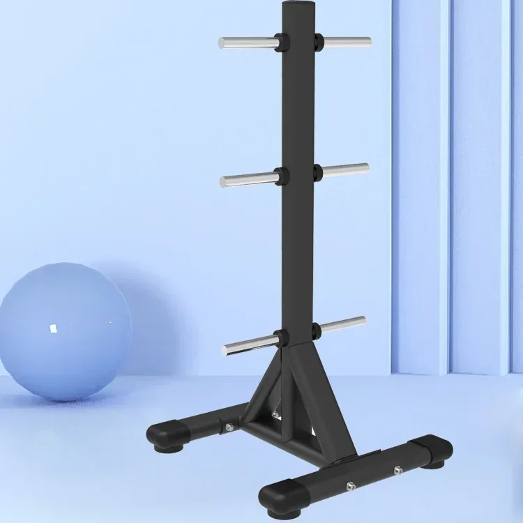 

Free Weight Weight Plate Vertical Rack Plate Rack Barbell Storage Rack Weight Plate Tree