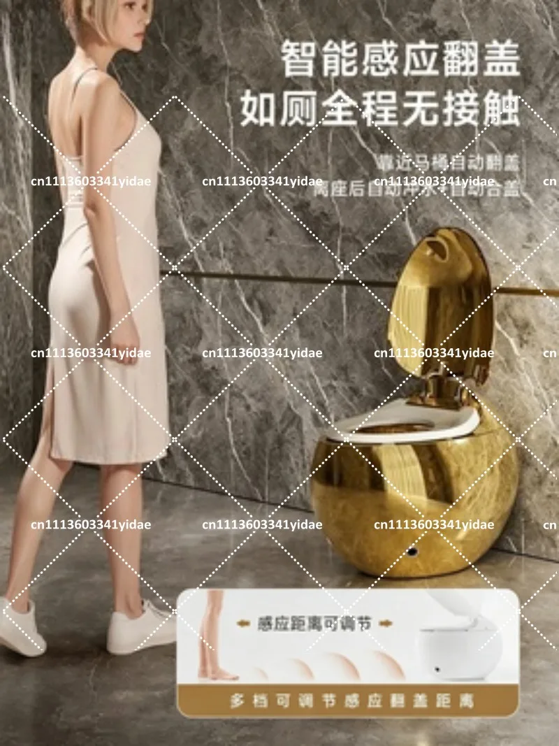 Smart Toilet Egg-Shaped Design for Villa Hotel Clubhouse Personalized Luxury Bidet