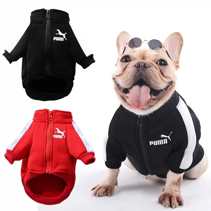 Vêtements chauds pour petits et moyens chiens, pull pour chat, vêtements pour animaux de compagnie, chihuahua, bouledogues, costume de chiot, manteau d'hiver, 1 pièce