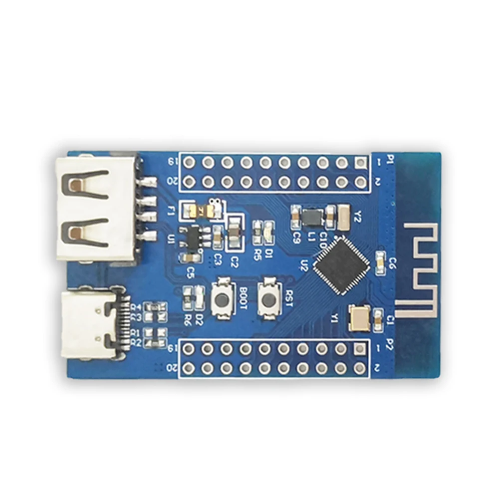 Bluetooth 5.3 RF2.4G Microcontroller a bassa potenza Bluetooth Dual USB RISC-V CH582M Modulo del Scheda di Sviluppo