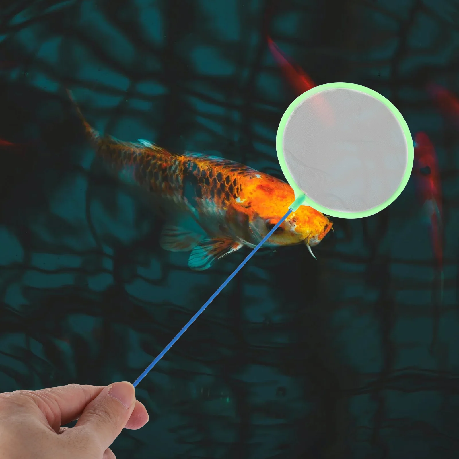 

30pcs Fishing Set Aquarium Shrimp Betta Minnow for Kids Tank Cleaner Tool Friendly Lightweight Water Pressure for Fish