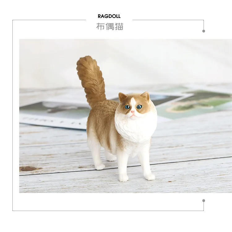 Simulation animal model toy solid plastic pet cat ragdoll cat ragdoll cat static model ornament figure