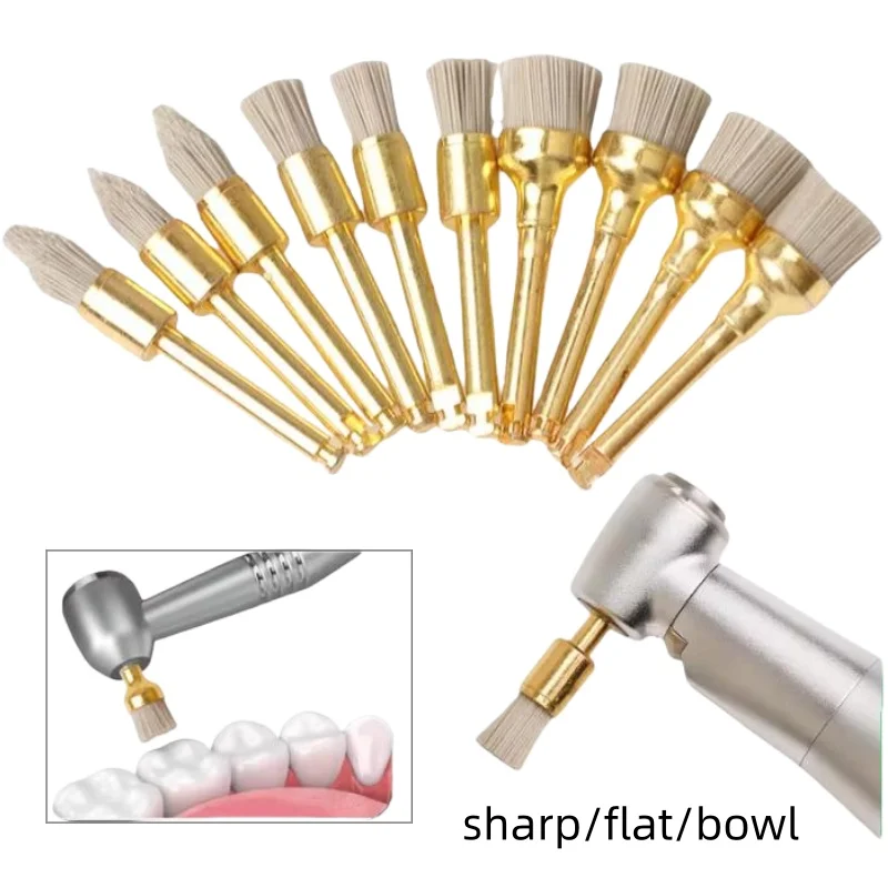 

Набор из 10 зуботехнических полировочных щеток с хвостовиком 2,35 мм, плоские абразивные насадки для полировки зубов, ручной инструмент