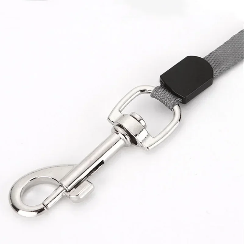 Automatic Retractable Nylon Dog Leash – 3M/5M Durable Walking Lead for Small Pets S0d281508bc464d16ad745def6c89a3c2l