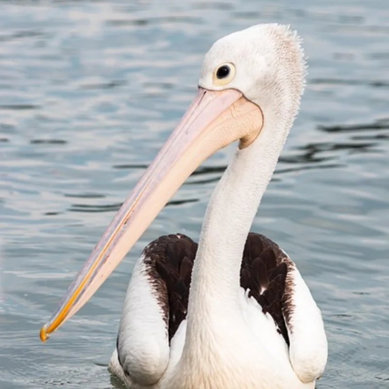 

Металлическая лебедка переднего и заднего бампера для 1:10 RC гусеничного автомобиля Defender SCX10 TRX4 SCX10 II 90046 90047