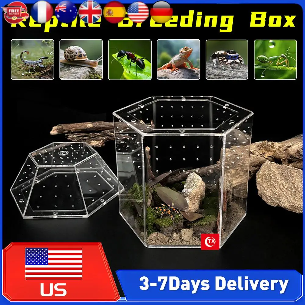 

Акриловый террариум для прыгающих пауков, бокс для разведения рептилий, вентилируемый с всех сторон, для тарантулов, улиток, ящериц, лягушек, сверчков и других рептилий
