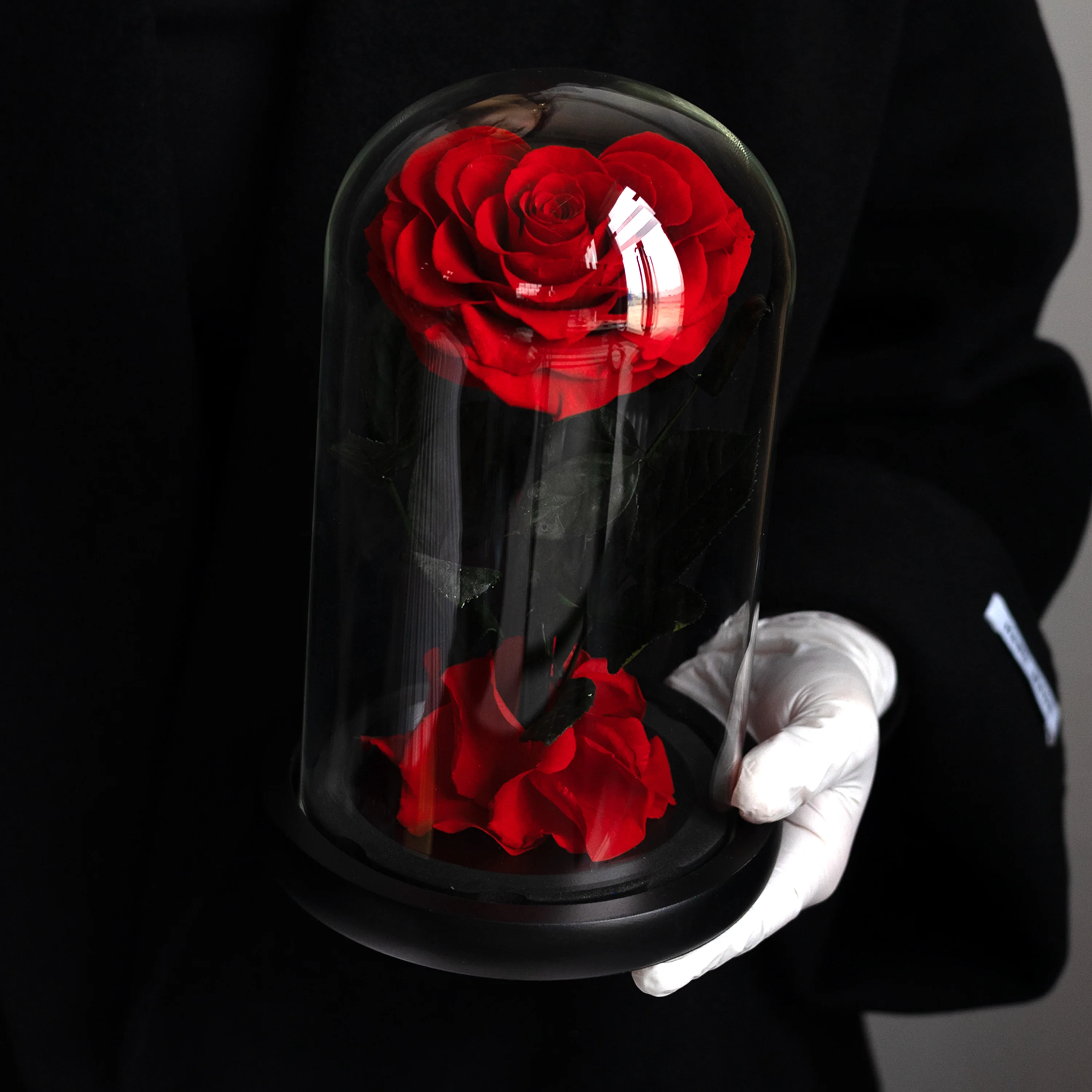 

Preserved Heart-Shaped Rose in Glass Dome Real Roses Eternal Flowers for Her Valentine's Mother's Day Anniversary Birthday Gift