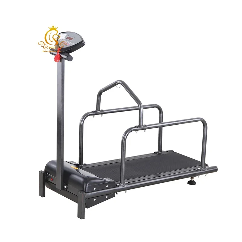 EUR PET Excellent Pet Shop Training Equipment Pet Treadmill For Dogs Veterinary Electric Treadmill